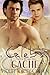Caleb's Cache (Haford Bridg...