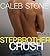 Stepbrother Crush: Book 2