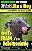 Xoloitzcuintli Training | Think Like a Dog, But Don’t Eat Your Poop! |: Here's EXACTLY How To Train Your Xoloitzcuintli