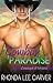 Cowboy Paradise (Cowboys of Nirvana #1)
