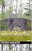 Delta Whispers by Renee Walker