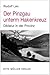 Der Pinzgau unterm Hakenkreuz: Diktatur in der Provinz (German Edition)