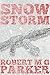 Snow Storm
