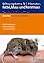 Leitsymptome bei Hamster, R...