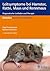 Leitsymptome bei Hamster, Ratte, Maus und Rennmaus by Anja Ewringmann