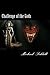 Challenge of the Gods by Michael Siddall