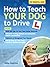 How to Teach your Dog to Drive