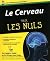 Le cerveau pour les nuls