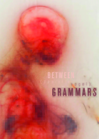 Between Grammars (Paperback)