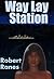 Way Lay Station by Robert Ranes