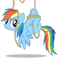 Apple Folly