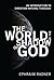 The World in the Shadow of God: An Introduction to Christian Natural Theology
