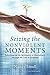 Seizing the Nonviolent Moments by Nancy Small