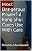 Most Dangerous Powerful Feng Shui Cures Use With Care: Detailed and Practical Information with Original Photos!