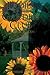 Ladies Of The Garden Club (...