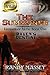 The Summoner: Ravens Destiny