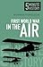 First World War in the Air:...