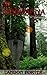 Rise of Morganna (The Desce...