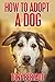 How To Adopt A Dog: An Adop...