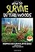 How to Survive in the Woods