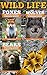WILD LIFE Box Set: Foxes, W...