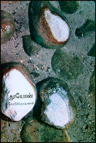 தூயோன்