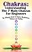 Chakras: Understanding The 7 Main Chakras For Beginners