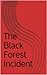 The Black Forest Incident (The lost documents Book 1)