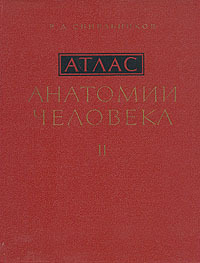 Атлас анатомии человека. В трех томах. Том 2
