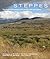 Steppes by Michael Bone