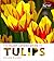The Plant Lover's Guide to Tulips