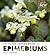The Plant Lover's Guide to Epimediums