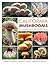 California Mushrooms: The Comprehensive Identification Guide