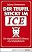 Der Teufel steckt im ICE: Die abgefahrensten Erlebnisse einer Zugbegleiterin (German Edition)