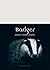 Badger (Animal)
