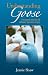 Understanding Goose