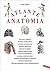 Atlante di anatomia (Italian Edition)