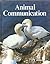 Animal communication by Paul Schauenberg