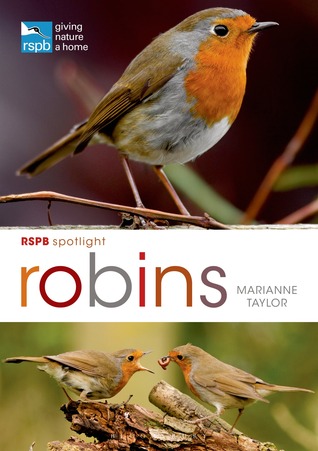 RSPB Spotlight: Robins (Paperback)