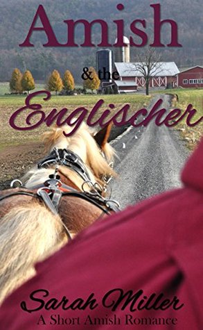 The Amish and the Englischer (Faith's Creek Amish Short Romance #2)