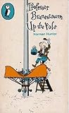 Professor Branestawm Up the Pole (Puffin Books)