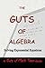 The Guts of Algebra: Solving Exponential Equations