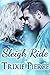 Sleigh Ride (Holiday Ride Trilogy Book 2)