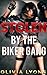 Stolen by the Biker Gang (Group Motorcycle Erotica)
