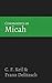 Commentary on Micah