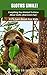 Sloths Smile!: Everything You Wanted To Know About Sloths (And Green Fur): A Picture Book For Kids (The Everything You Wanted To Know About series of Picture Books For Kids 3)
