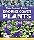 New Zealand Native Ground Cover Plants: A Practical Guide for Gardeners and Landscapers