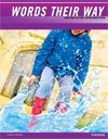 Words Their Way: Word Sorts for Within Word Pattern Spellers (Paperback)