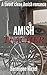 Amish Teacher by Hermione Hirzel