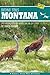 Birding Trails Montana: 240...